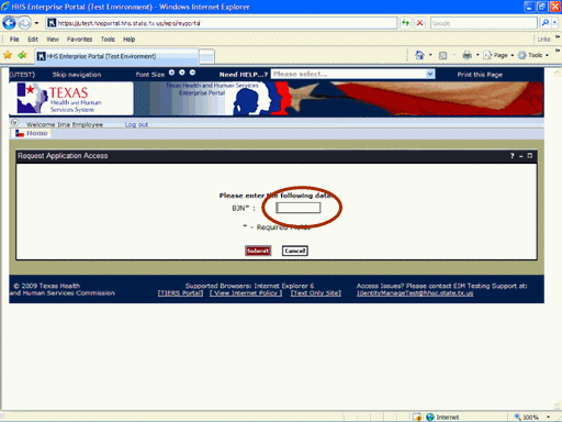 Screenshot of Request Application Access page